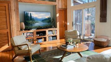 Smart TV, fireplace, video games, DVD player