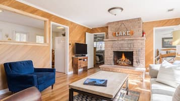Smart TV, fireplace, books, video library