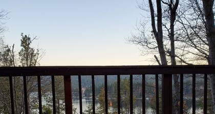 Stunning 3BR Lake View Gem w/Lake Access. S'mores ready Fire Pit-Dog Friendly