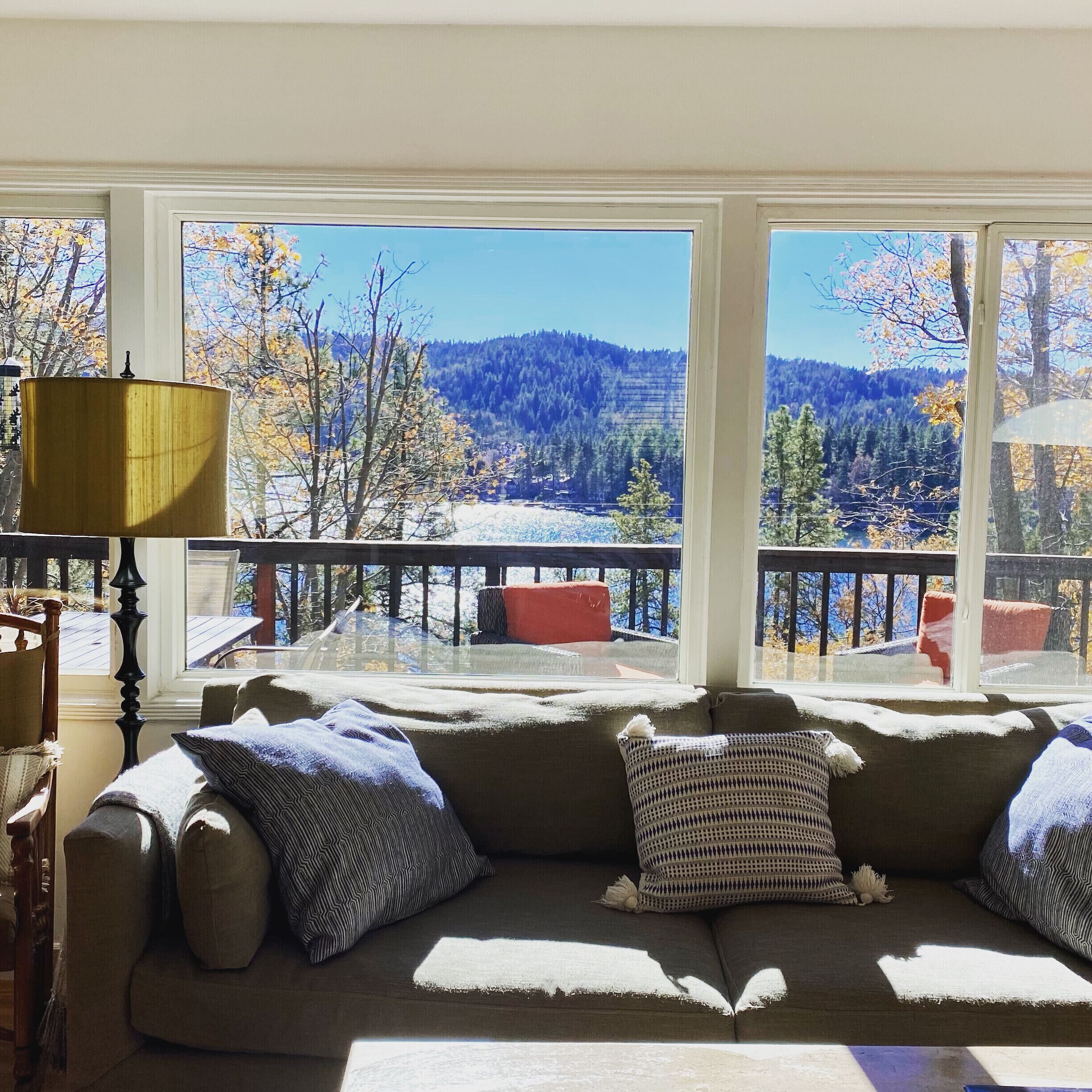 Smart TV, fireplace, books, video library