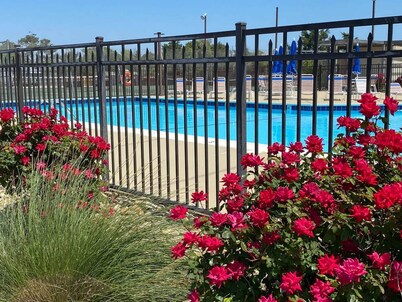 "SweetWater" ~ 1302 Queens Court ~ 1Bd/1Ba Top Floor Oceanfront Condo ~ Elevator