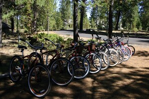 A row of bicycles parked in a shaded area with a forested background.