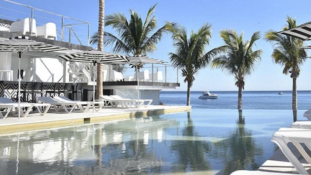 A poolside area with lounge chairs and umbrellas, palm trees, and a view of the ocean.