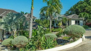 Un barrio residencial con casas, palmeras y jardines bien cuidados.