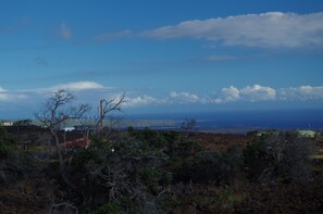 Beach/ocean view - Bungalow with spectacular ocean view from lanai and private hot tub (Ocean View)