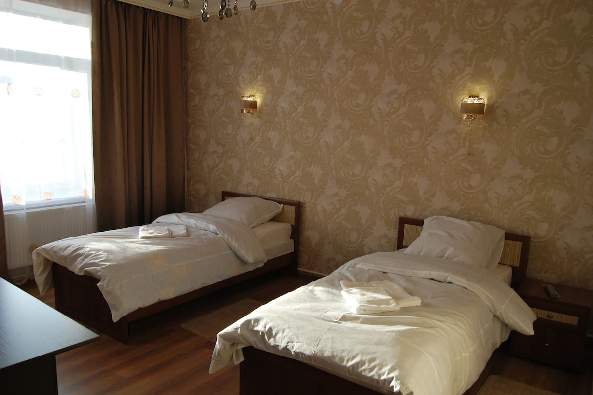 Standard Twin Room | Desk, soundproofing, iron/ironing board, rollaway beds