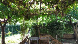 Property grounds - Barnet House Lamezia (Lamezia Terme)