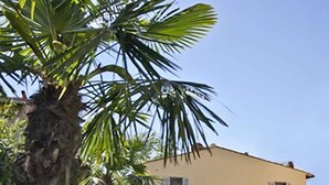A two-story building with a swimming pool, surrounded by palm trees and a well-maintained lawn. - Duchess Boutique Hotel B&B (Florence)