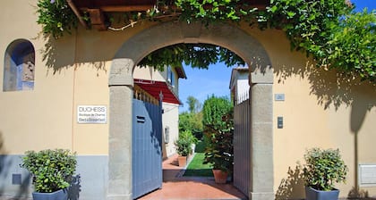 Duchess Boutique Hotel B&B