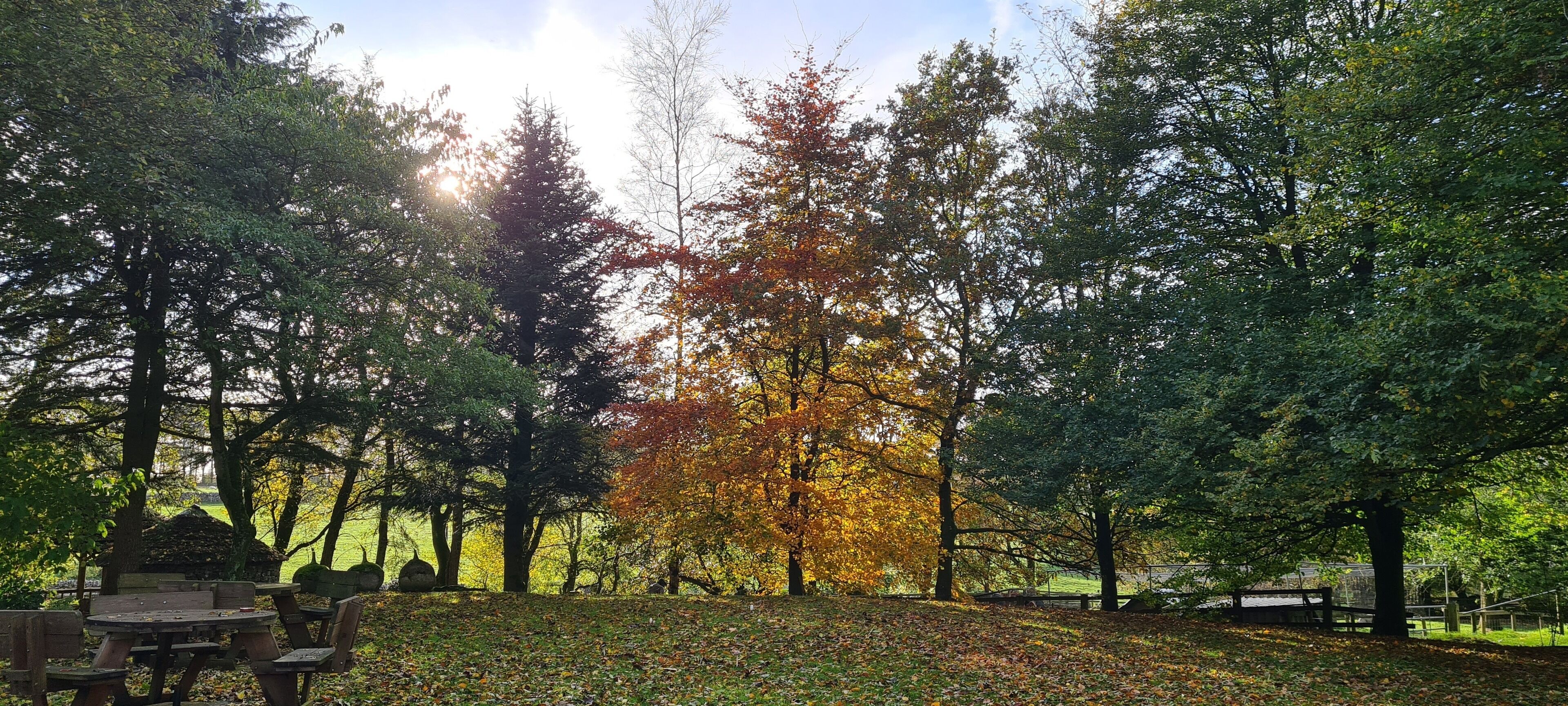 Main House - Master Suite (No Pets) | 客房景觀