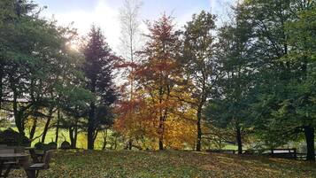 Main House - Master Suite (No Pets) | Kameruitzicht