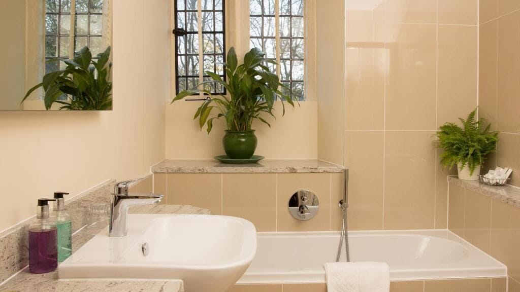Ein Badezimmer mit Waschbecken, Badewanne und zwei Blumentöpfen.