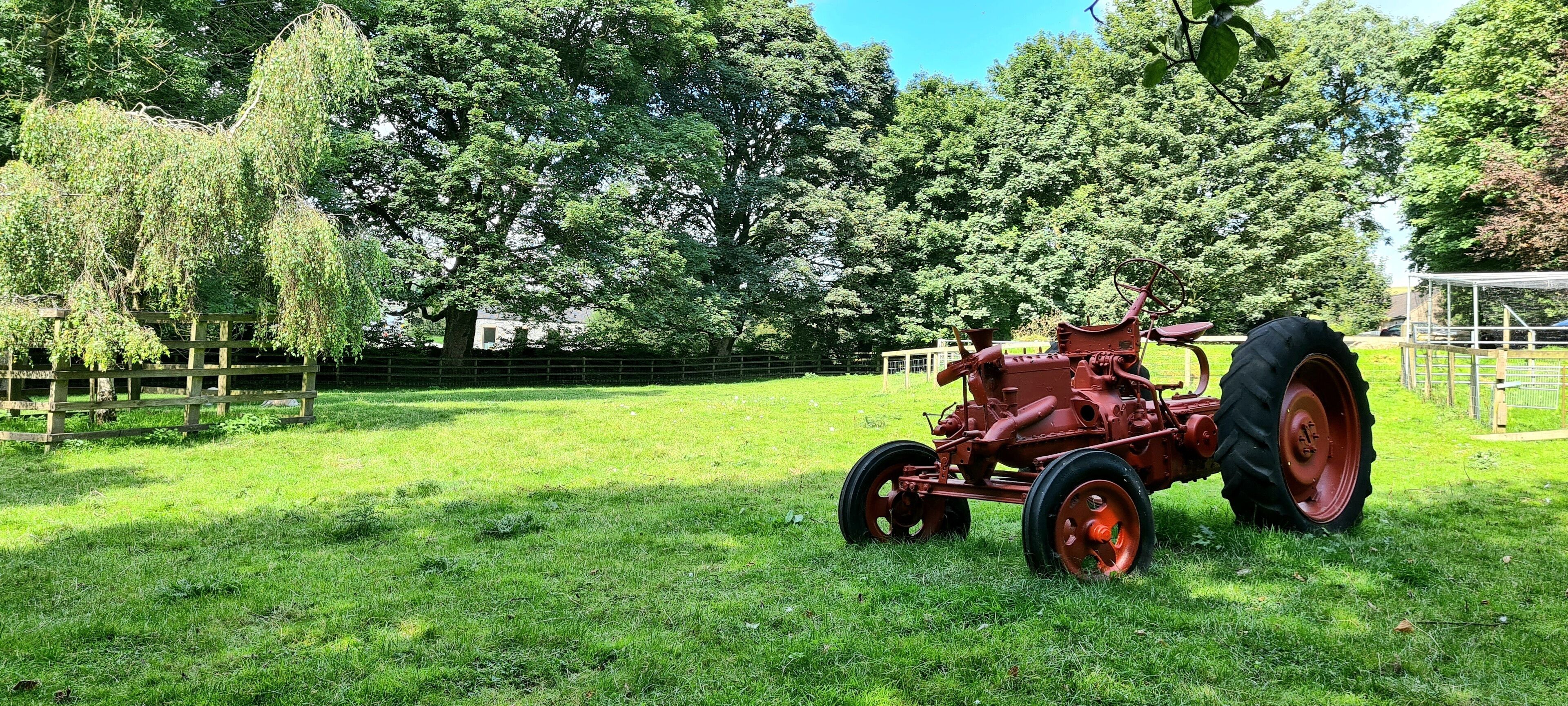 Un trattore rosso in un campo erboso con alberi sullo sfondo.