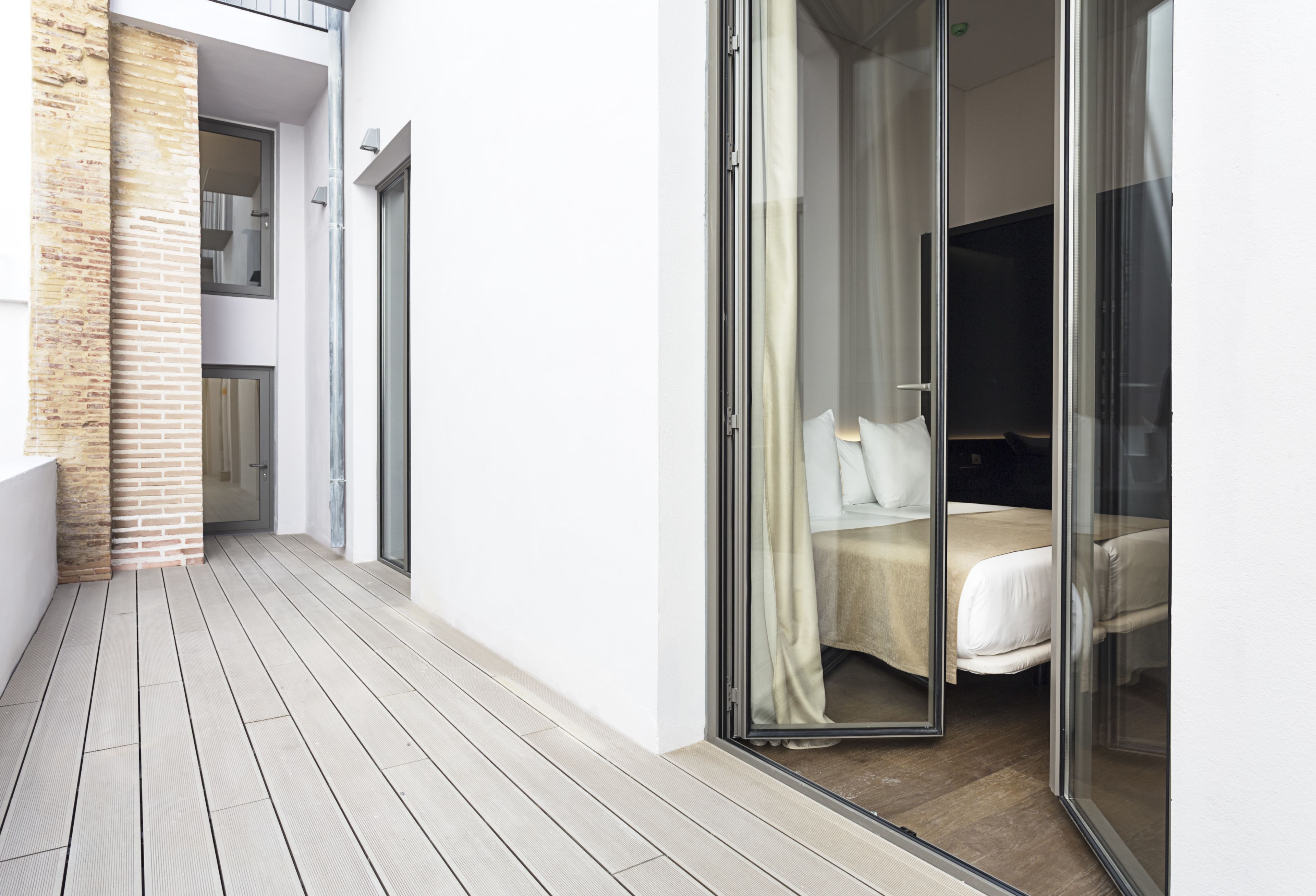 Photo - One Shot Mercat