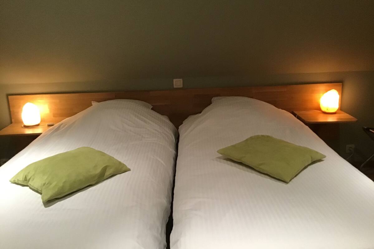 A double bed with white linens and two green pillows. There are two bedside lamps on wooden nightstands.