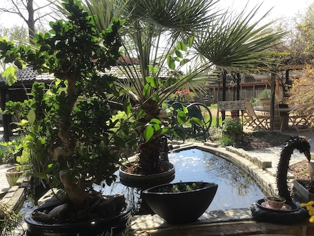 Jardín