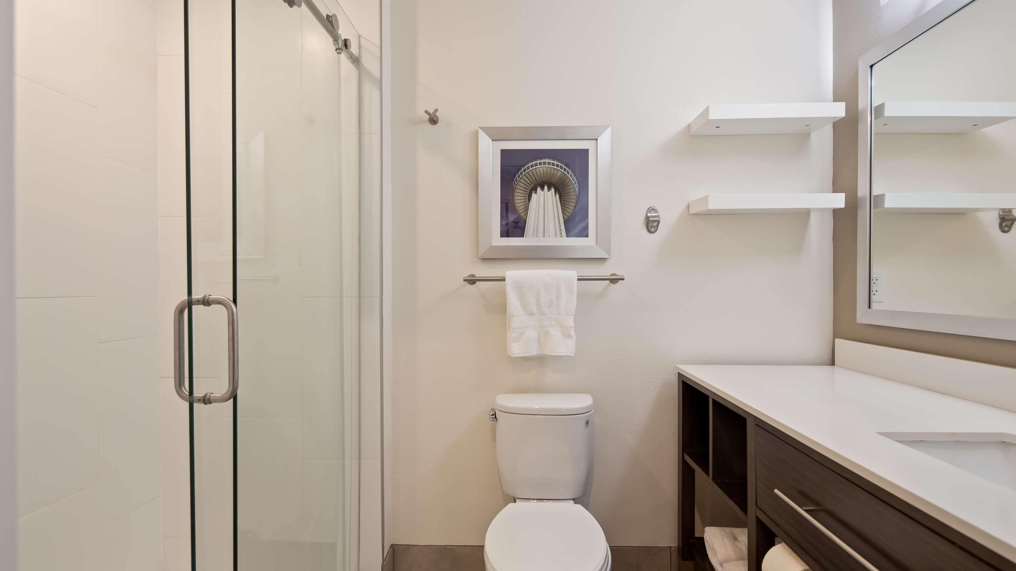 combined shower/bathtub, free toiletries, hair dryer, towels