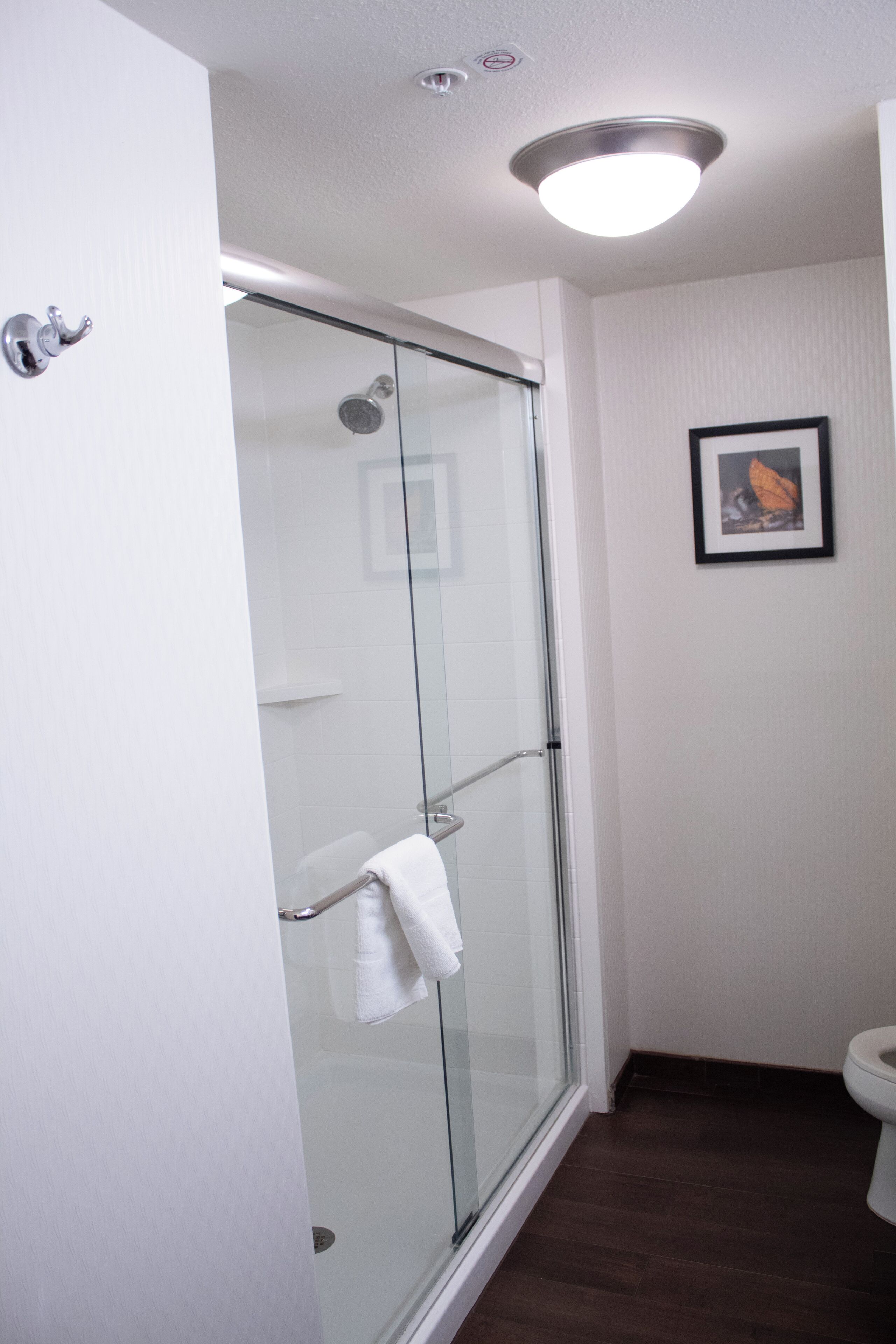 A bathroom with a glass-enclosed shower, a white toilet, and a framed picture on the wall.