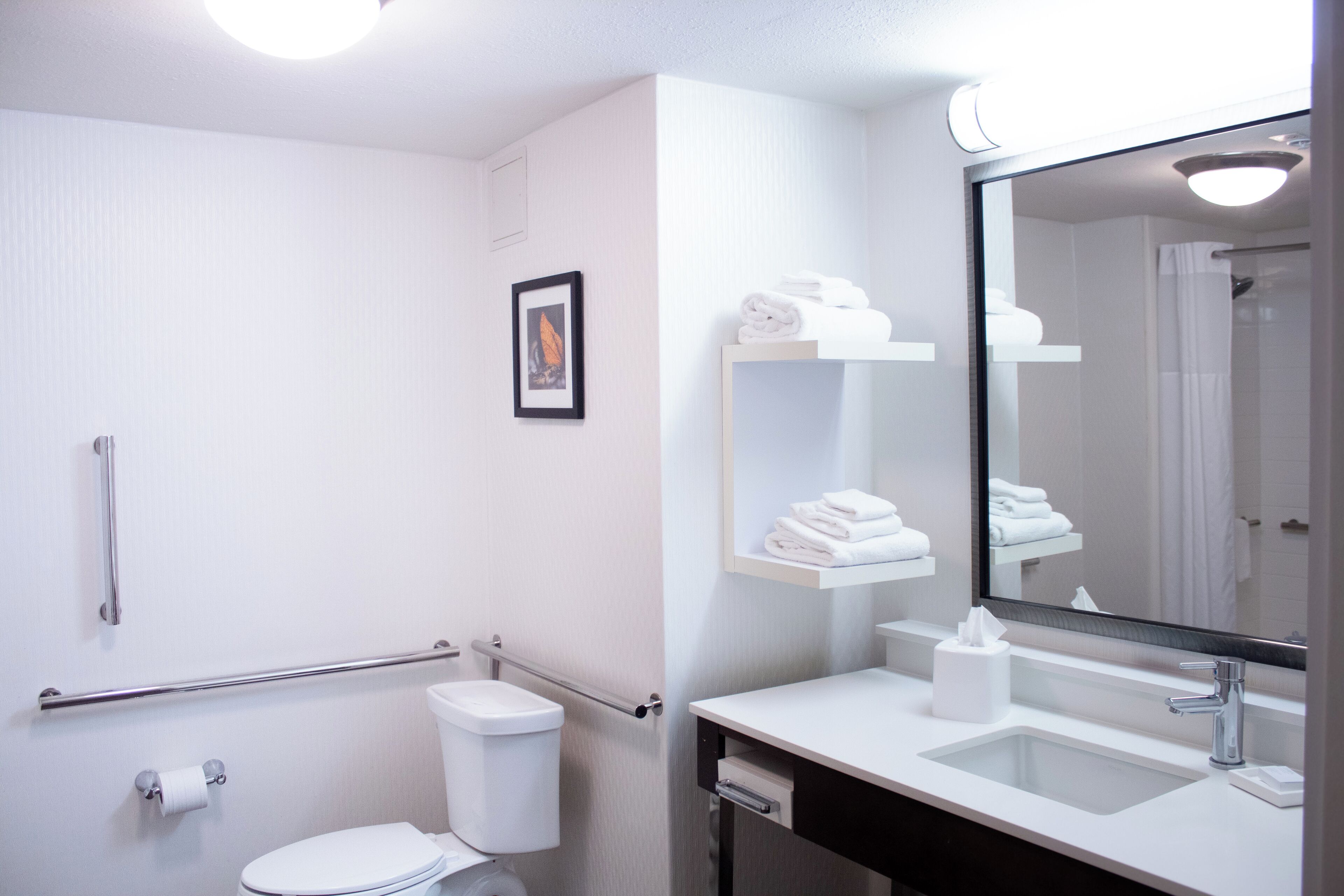 room, 1 king bed, accessible, non smoking (rollin shower) | bathroom | combined shower/bathtub, free toiletries, hair dryer, towels