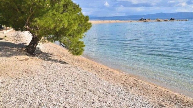 Une plage à l’eau claire, un arbre et des montagnes à l’horizon.