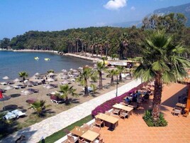 Windsurf, surf, vela y remo o canoa