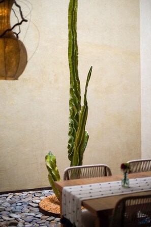 Free daily cooked-to-order breakfast  - Casa Carmen Reforma (Oaxaca)