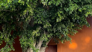 واجهة المنشأة