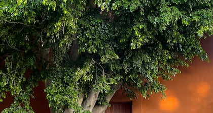 Casa Carmen Reforma