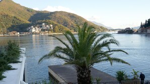 Vista frente al agua con una palmera, una terraza de madera y una persona caminando por la orilla.