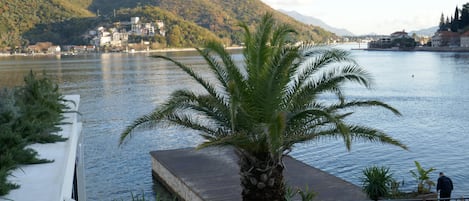 A waterfront view with a palm tree, a dock, and a person walking.