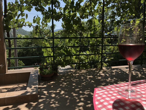 Un balcon avec une table, une plante en pot et un verre de vin rouge.
