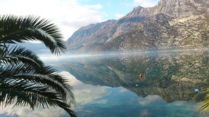 Un lac paisible, avec des montagnes en arrière-plan et un palmier au premier plan.