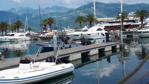 Un puerto deportivo con varias embarcaciones amarradas, un muelle de madera y palmeras.