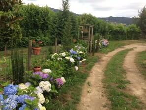 Jardines del alojamiento
