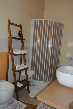Combined shower/tub, hair dryer, bidet, towels