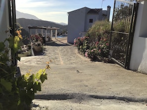 Property grounds - Rural house 15 minutes away from the beach. Private swimming pool and free WIFI (Torrox)