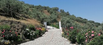 Rural house 15 minutes away from the beach. Private swimming pool and free WIFI