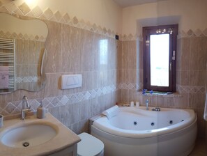 Een douche, een bubbelbad, een haardroger, een bidet