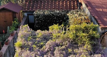 Casa Leonardo in the Tuscan countryside near Florence Prato and Pistoia