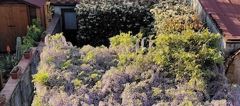 Casa Leonardo en la campiña toscana, cerca de Florencia, Prato y Pistoia