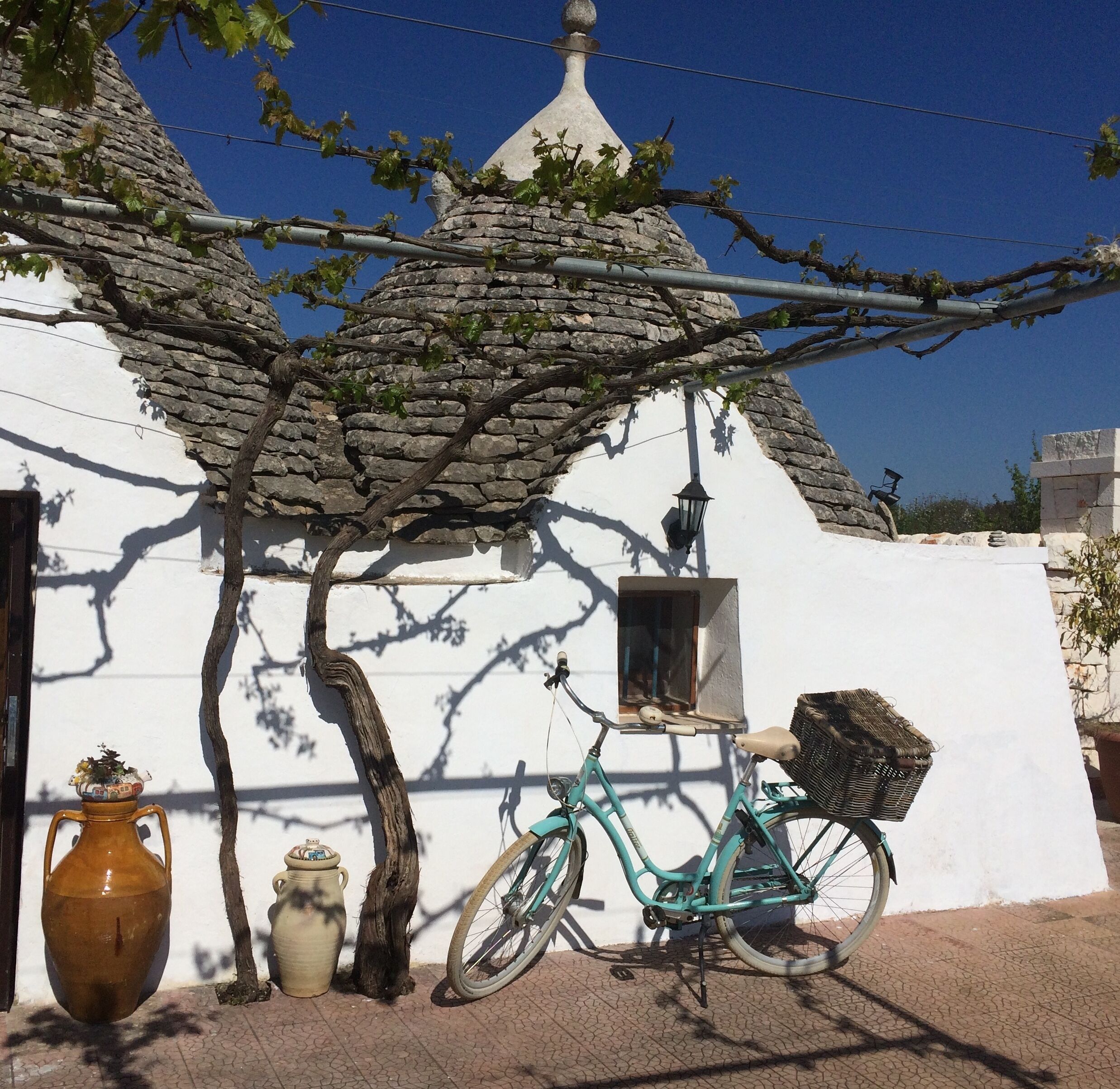 Authentic trullo in a vineyard