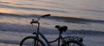 Two-room apartment ideally located 200 m from the ocean, 900 m from downtown