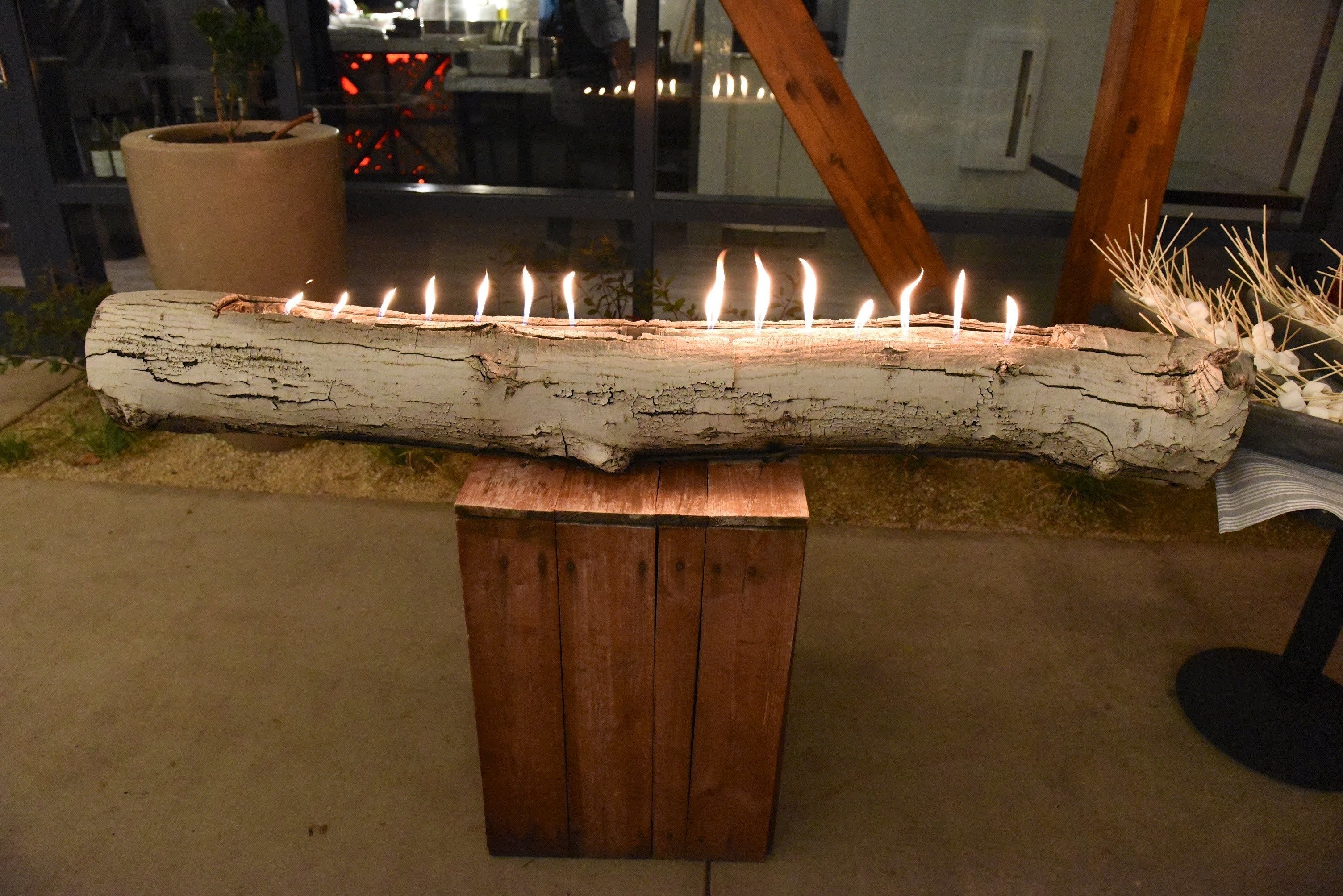 Un banco de madera rústico con un tronco como centro, rodeado de macetas con plantas y un suelo de hormigón.