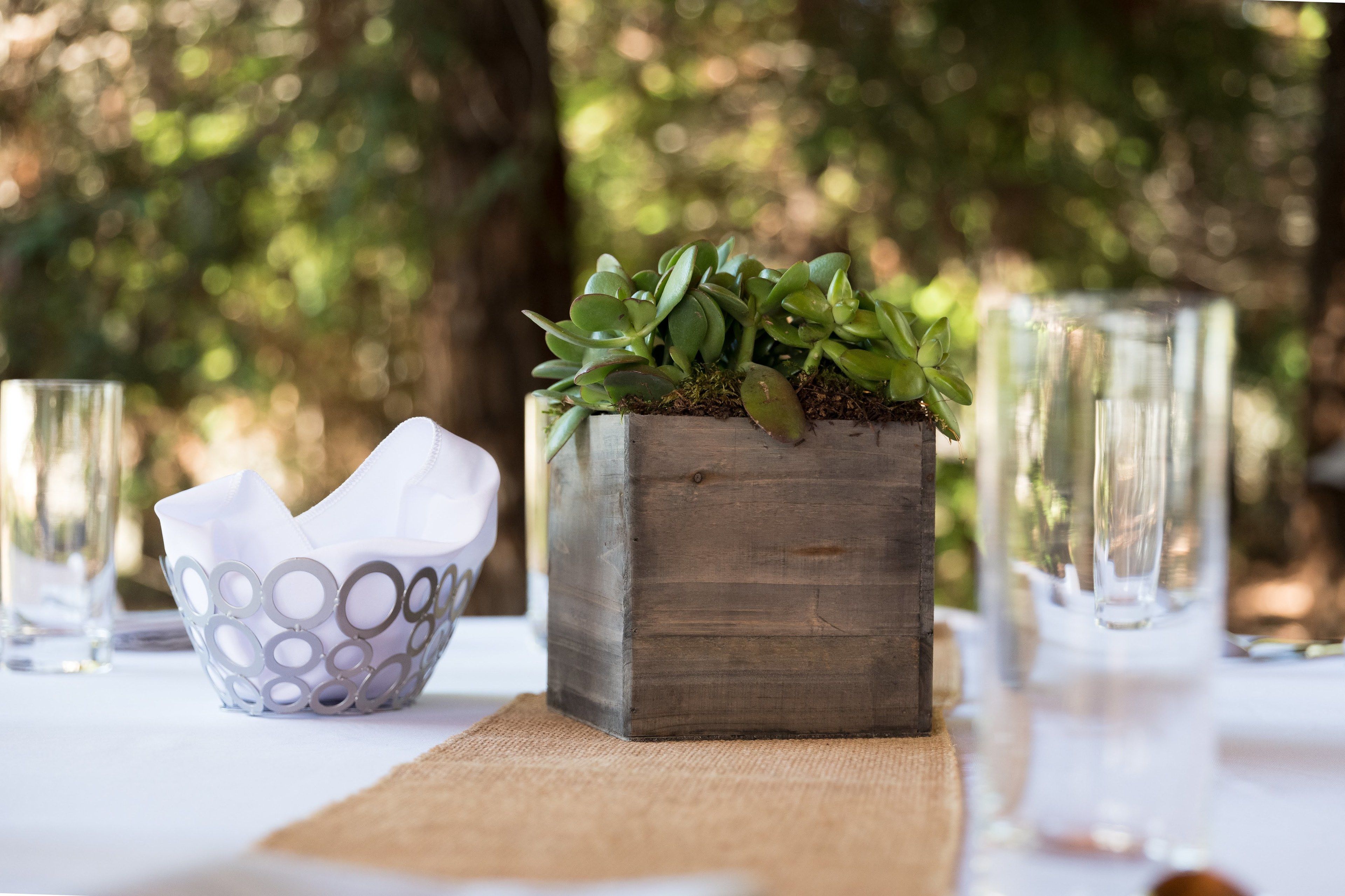 A rustic wooden planter with green foliage, a white bowl with circular patterns, and clear glassware on a table outdoors.