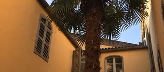 Large 60 m2 apartment, historic center, near the market, former convent