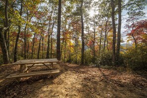 Outdoor dining - PILOT COVE Studio Cabin - Modern Luxury w/ Nature! (Pisgah Forest)