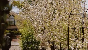 Un chemin de jardin recouvert de gravier, une clôture en métal et des arbres en fleurs.