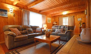 Smart TV, fireplace, DVD player, books