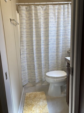 Combined shower/bathtub, hair dryer, towels, soap