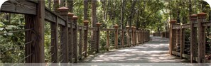 A wooden bridge with railings, surrounded by trees.